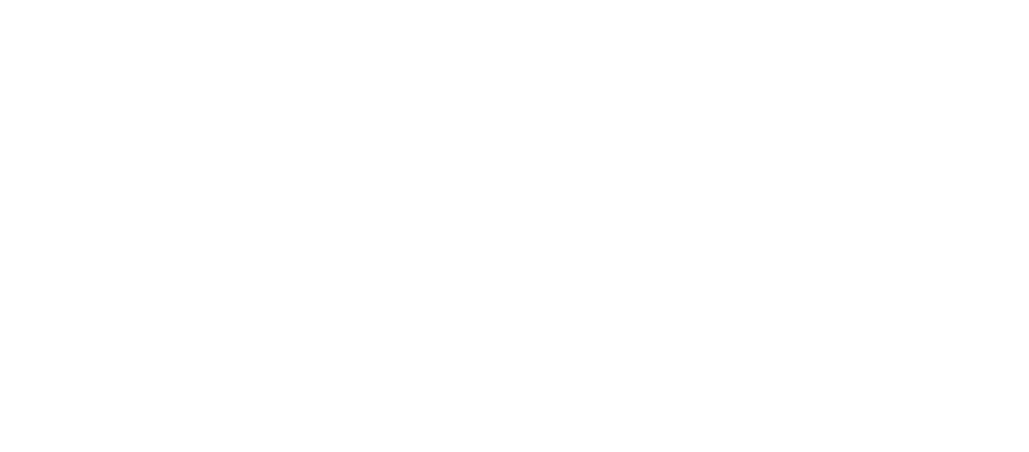 المنير